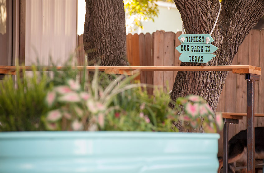 Tiniest Dog Park in Texas